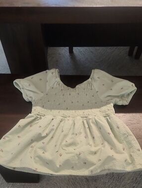 Cat & Jack Pale Green Smocked Long Sleeve Top with Pink Floral